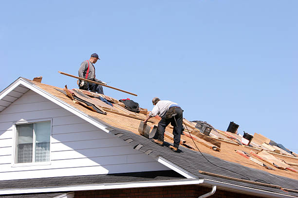 Best Roof Ventilation Installation  in Lewisville, NC