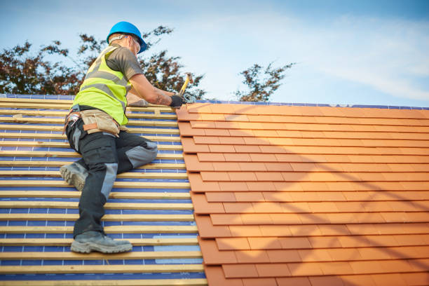 Best Storm Damage Roof Repair  in Lewisville, NC